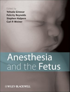 Koleksi Buku Anestesi Anesthesia And The Fetus 228x300