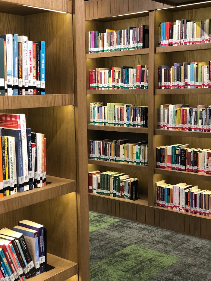 portfolio-07 Neatly arranged books on wooden library shelves showcasing a diverse collection.
